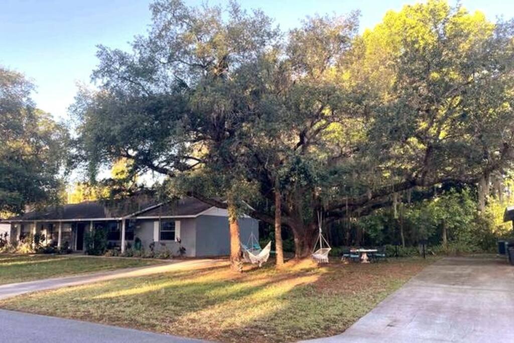 Nature Coast Getaway #1 - Cozy 2 Bedroom Homosassa Zewnętrze zdjęcie