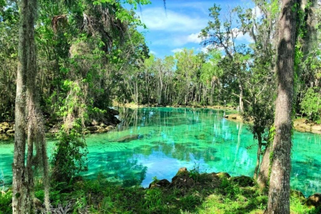 Nature Coast Getaway #1 - Cozy 2 Bedroom Homosassa Zewnętrze zdjęcie